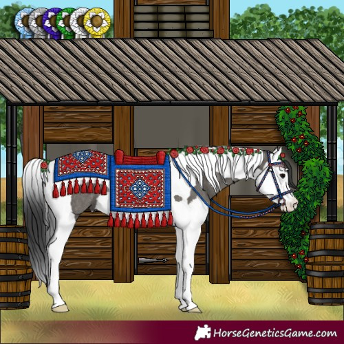 Horse Color:Grullo Splash Tobiano Rabicano 