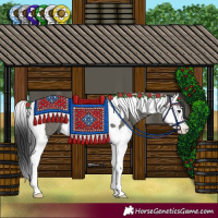 Horse Color:Grullo Splash Tobiano Rabicano 