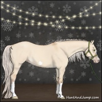 Horse Color:Silver Classic Champagne Dun Splash Frame 