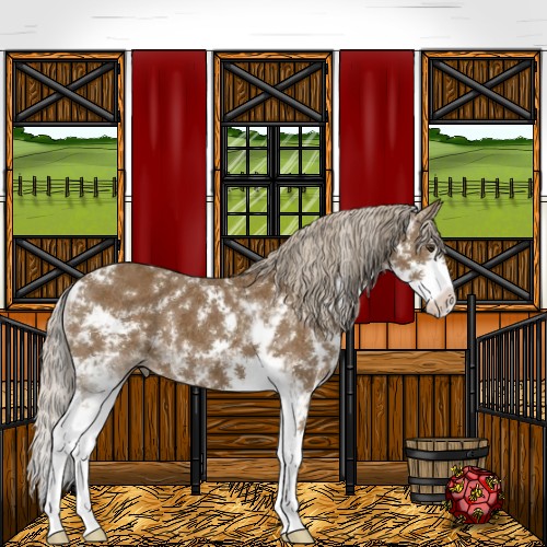 Horse Color:Chocolate Palomino Sabino 