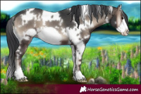 Horse Color:White Spotted Blue Onyx Frame