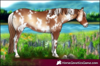 Horse Color:White Spotted Red Onyx 
