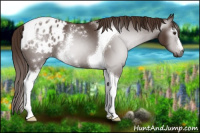 Horse Color:Gray White Spotted Chestnut Tobiano Varnish 