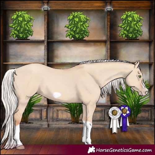 Horse Color:Silver Classic Champagne Dun Splash Frame 