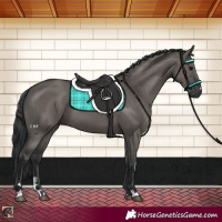 Horse Color:Grullo 