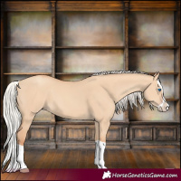 Horse Color:Silver Classic Champagne Dun Splash 