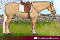 Horse Color:Palomino Dun