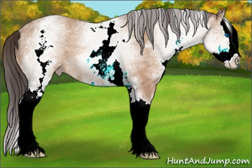 Horse Color:White Spotted Amber Champagne Splash Rabicano 