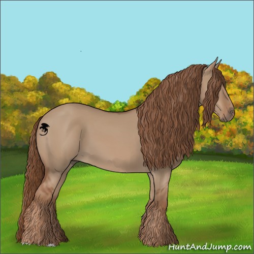 Horse Color:Red Dun 