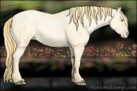 Horse Color:Buckskin Roan Pearl  and Buckskin Roan Pearl 