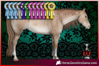 Horse Color:Grullo Pearl Sabino Tobiano Brindle 