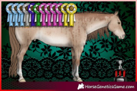 Horse Color:Grullo Pearl Sabino Tobiano Brindle