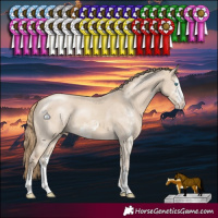 Horse Color:Smoky Creme Dun Sabino Rabicano  and Smoky Creme Dun Sabino 