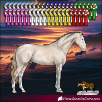 Horse Color:Smoky Creme Dun Sabino Rabicano and Smoky Creme Dun Sabino