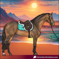 Horse Color:Buckskin 