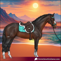 Horse Color:Brown 