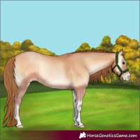 Horse Color:Bay Pearl Onyx
