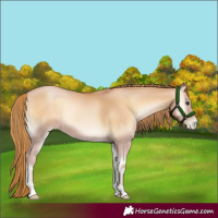Horse Color:Red Onyx Pearl 