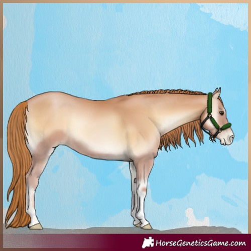 Horse Color:Red Onyx Pearl 