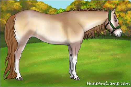 Horse Color:Red Onyx 