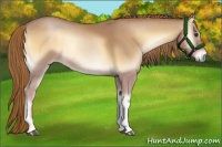 Horse Color:Red Onyx 