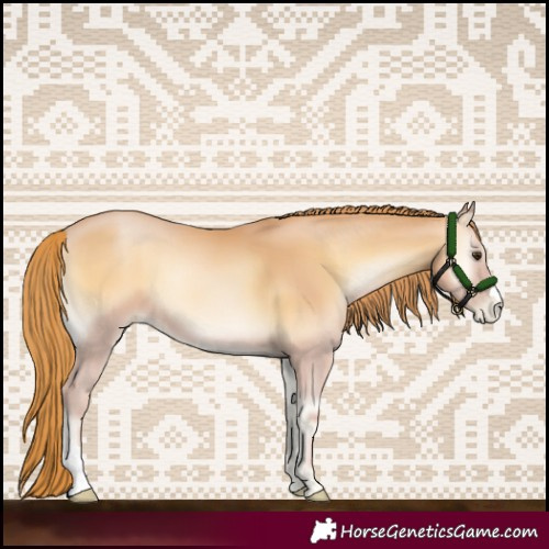Horse Color:Red Onyx Pearl 