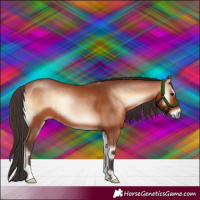 Horse Color:Bay Onyx 