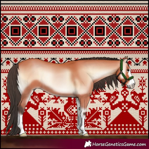 Horse Color:Bay Onyx Mushroom 