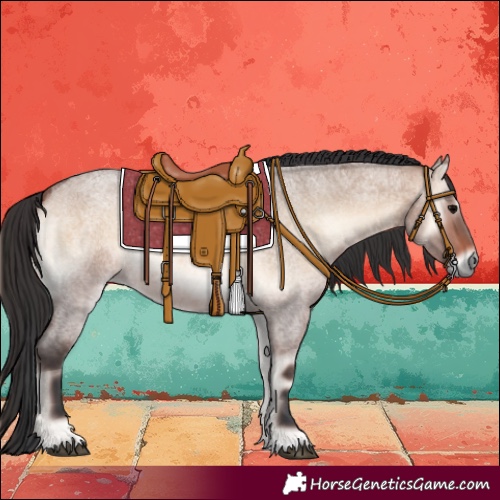 Horse Color:Brown Roan Onyx Rabicano 