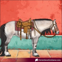 Horse Color:Brown Roan Onyx Rabicano 