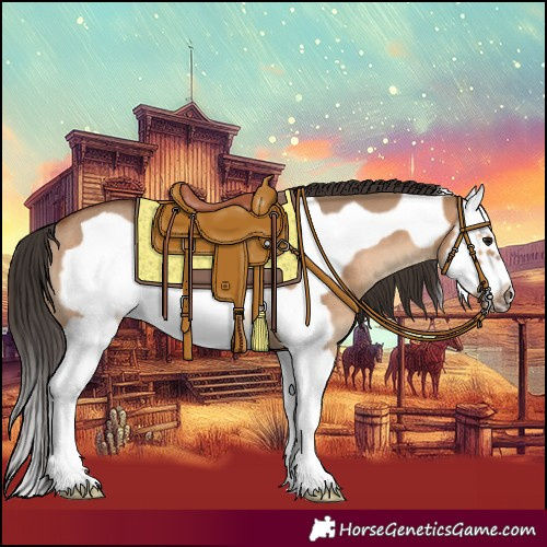 Horse Color:Bay Dun Splash Frame Rabicano