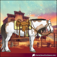 Horse Color:Bay Dun Splash Frame Rabicano 