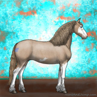 Horse Color:Red Dun Roan Splash Frame Rabicano 