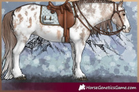 Horse Color:Brown Dun Sabino Blanket 