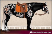 Horse Color:Bay Sabino Splash Blanket