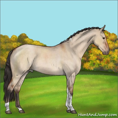 Horse Color:Brown Roan Dun Tobiano 