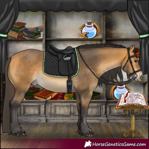 Horse Color:Buckskin 