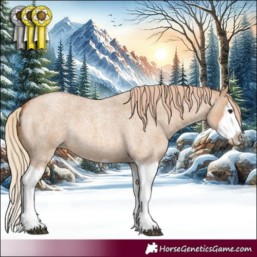 Horse Color:Red Dun Roan Splash Frame Rabicano 