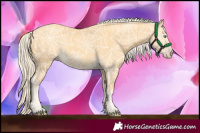 Horse Color:Gold Cream Champagne 