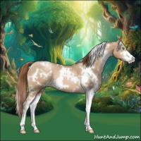 Horse Color:White Spotted Smoky Black Pearl Sabino 