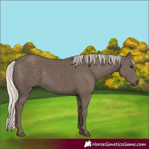 Horse Color:Silver Black 