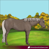 Horse Color:Silver Black 