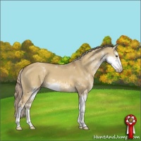 Horse Color:Chocolate Palomino Dun Sabino