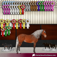 Horse Color:Silver Brown
