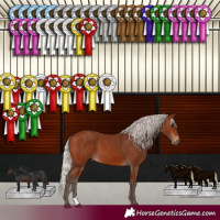 Horse Color:Silver Brown 
