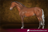 Horse Color:Silver Brown 
