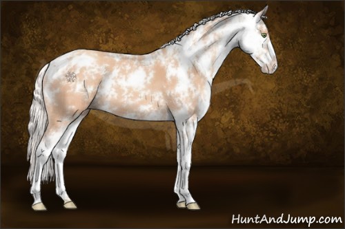 Horse Color:Silver Sable Champagne Sabino 
