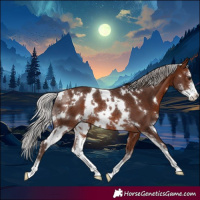 Horse Color:White Spotted Silver Brown Sabino Rabicano 