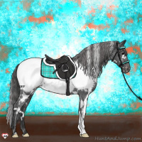 Horse Color:White Spotted Black Appaloosa 