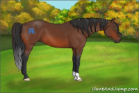 Horse Color:Brown 